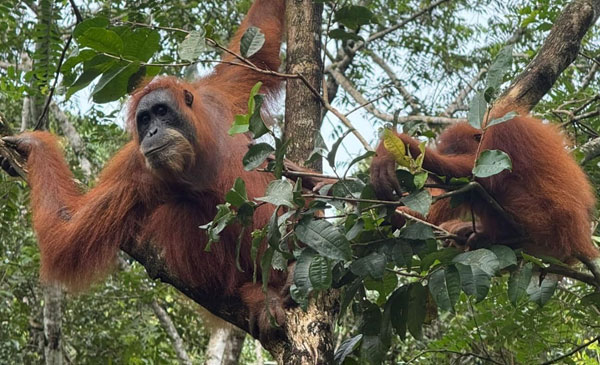 3-Day-Wonderful-Jungle-Trek