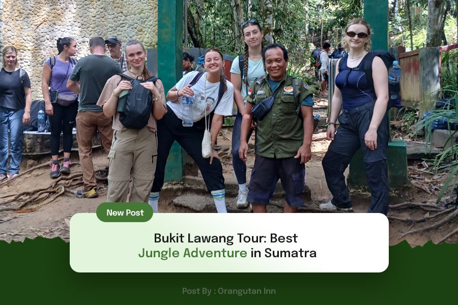 Bukit-Lawang-Tour-Best-Jungle-Adventure-in-Sumatra