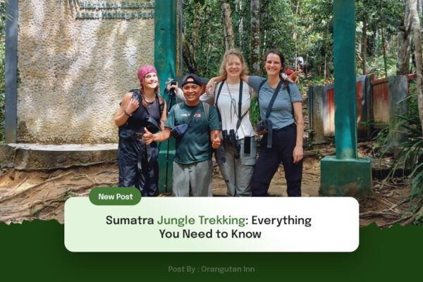 Sumatra-Jungle-TrekkingEverything-You-Need-to-Know